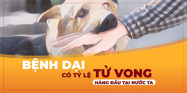 Benh-dai-co-ty-le-tu-vong-hang-dau-tai-nuoc-ta-1
