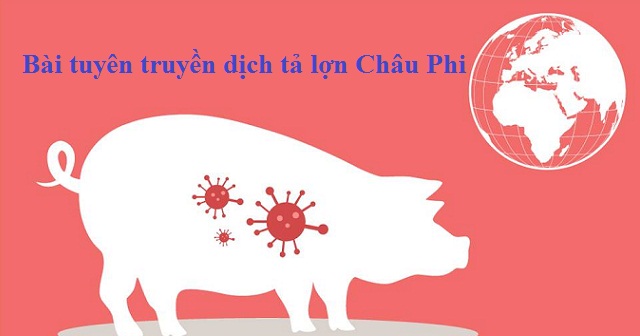 BÀI TUYÊN TRUYỀN VỀ DỊCH TẢ LỢN CHÂU PHI